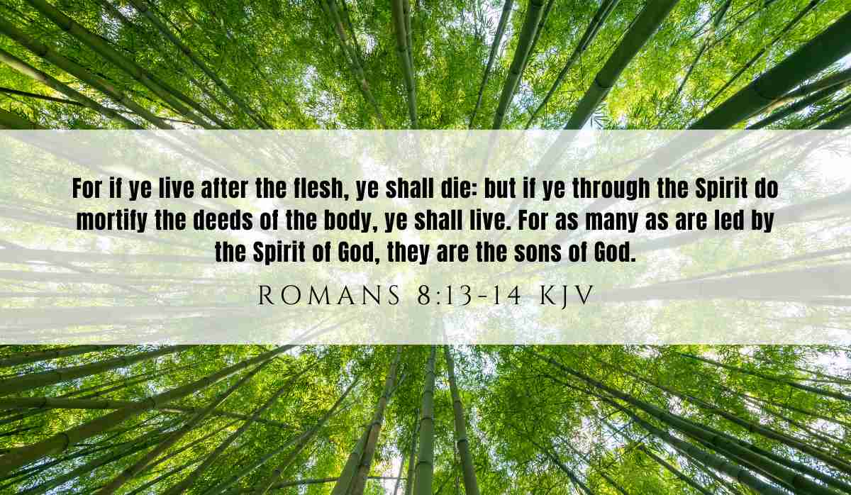 Powerful verse of the day inspiration for August 10th 2025