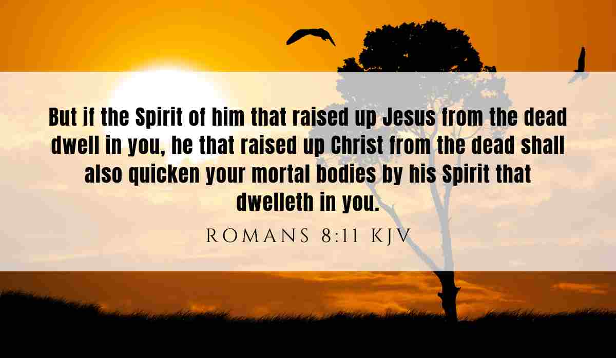 Powerful verse of the day inspiration for August 12th 2025