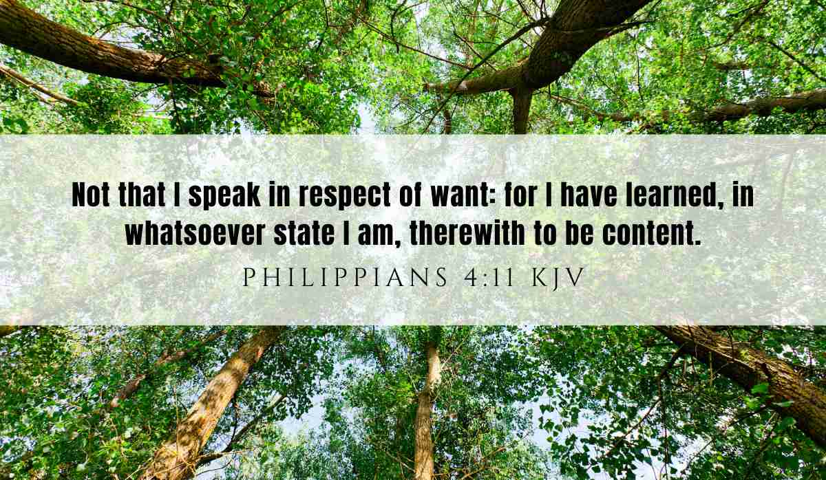 Powerful verse of the day inspiration for August 24th 2025