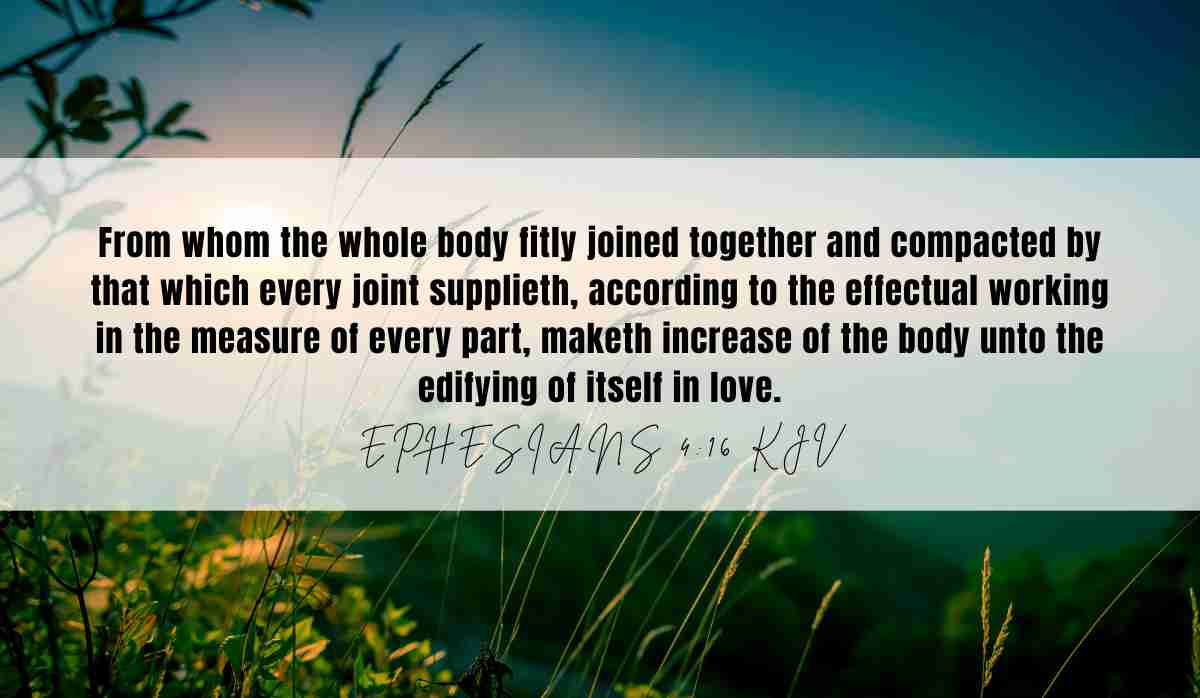 Powerful verse of the day inspiration for September 1st 2025