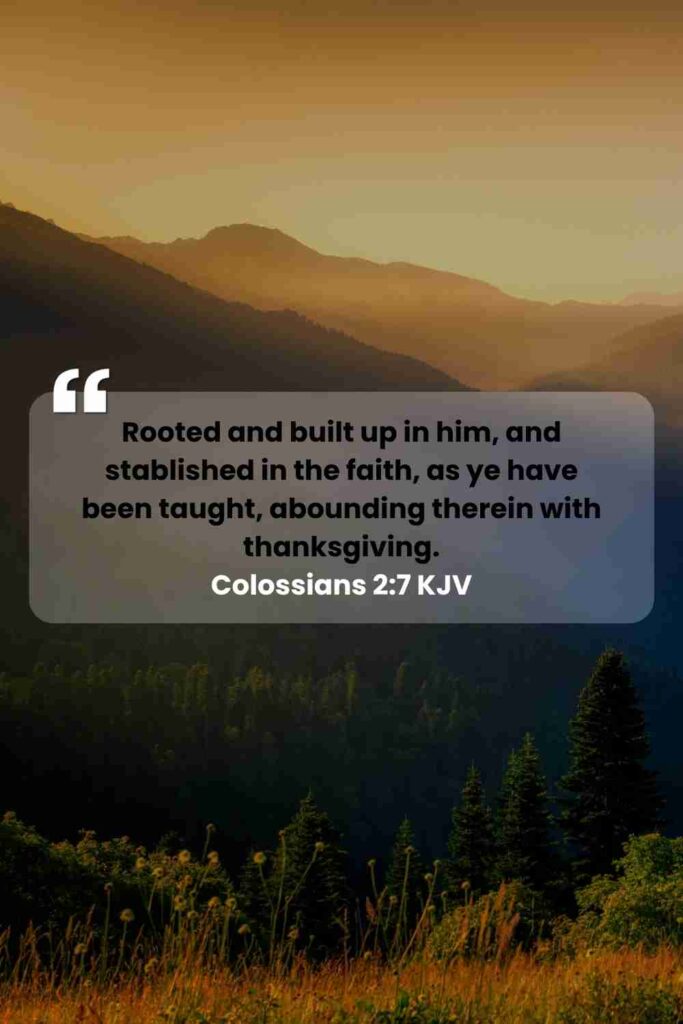 Reflection on Today's Verse from Colossians 2:7 - November 3rd 2025