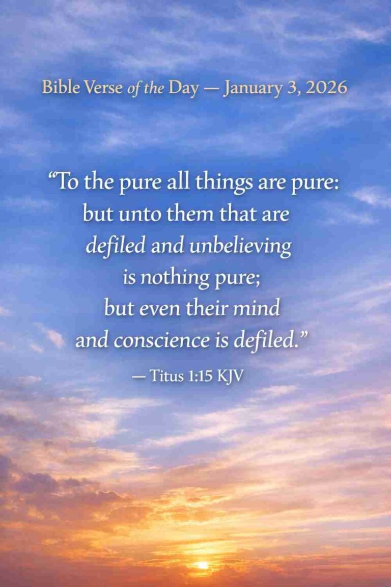 Reflection on Today's Verse from Titus 1:15 - January 3rd 2026